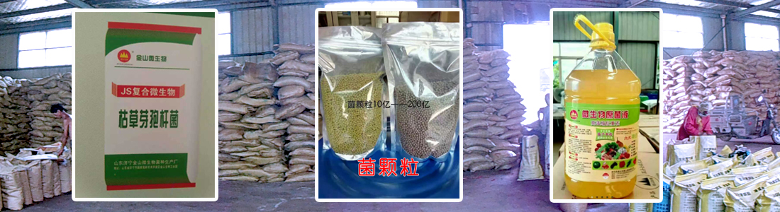 警示樁篦子價(jià)格